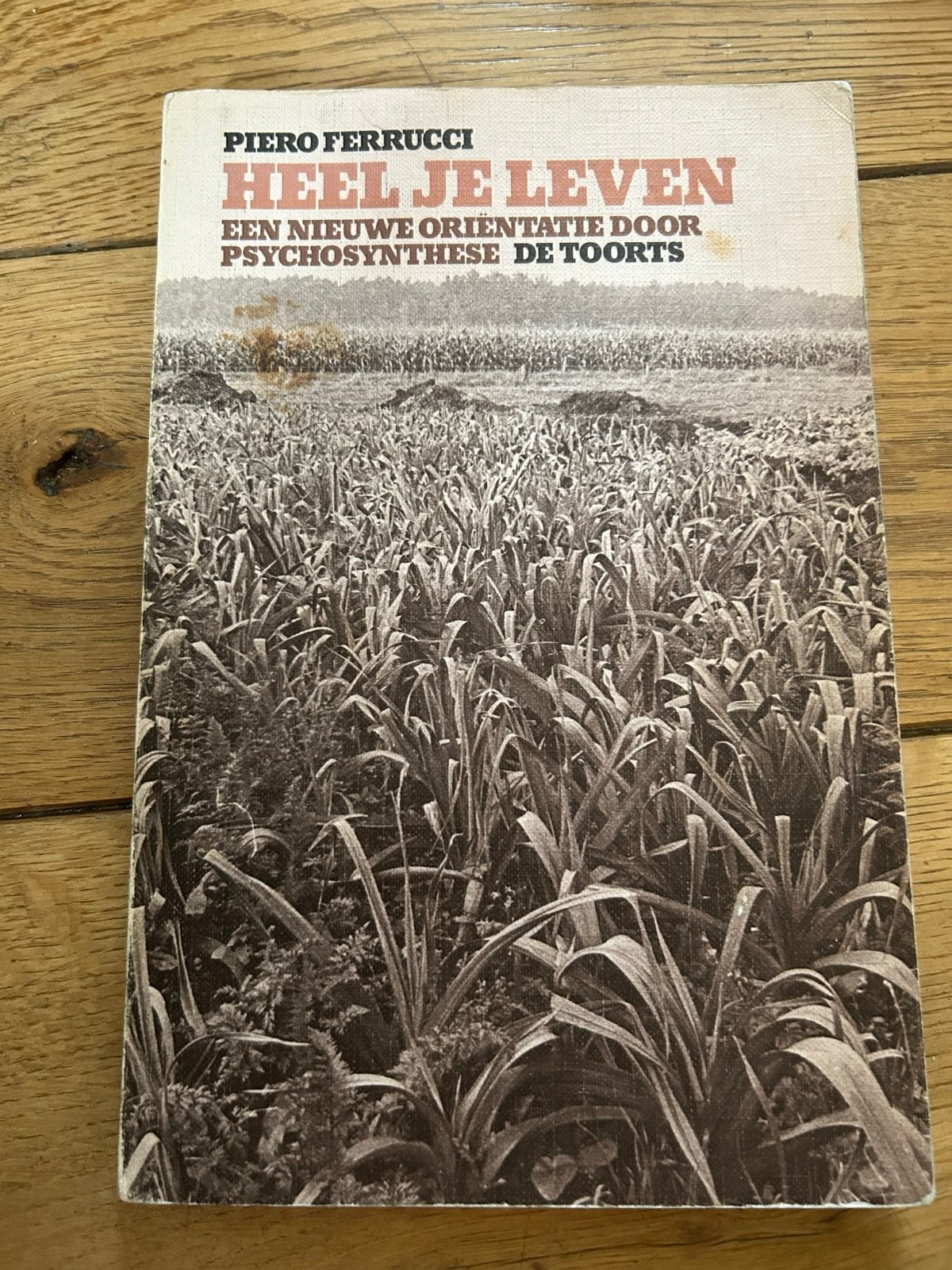 Heel je leven - Piero Ferrucci (Psychosynthese), Ophalen of Verzenden, Gelezen, Spiritualiteit algemeen, Achtergrond en Informatie