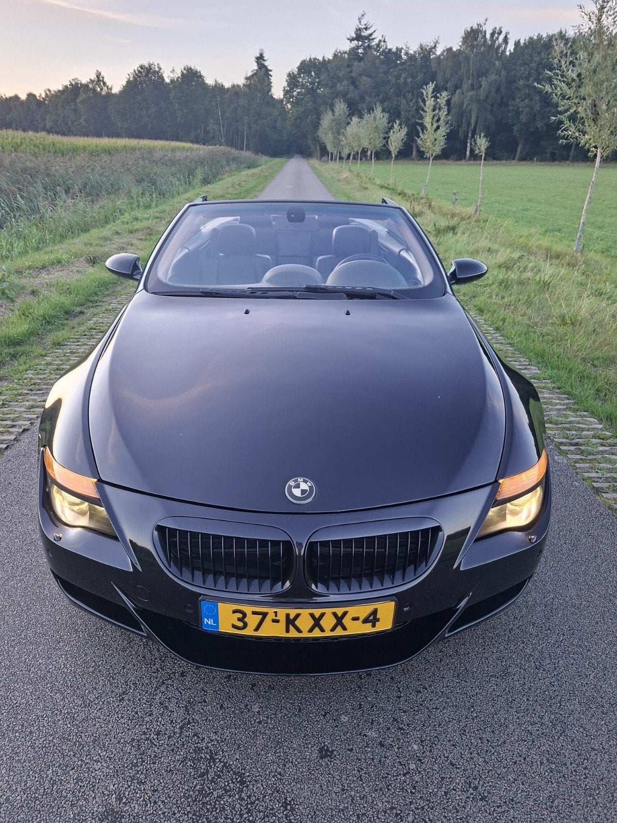 BMW Cabrio M6-uitvoering ( af fabriek sportonderstel ), Auto's, Cabriolet, 1795 kg, Zwart, 4398 cc