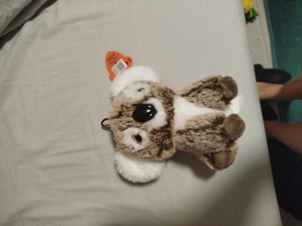 Schattige en zachte koala knuffel bruin met wit, Ophalen of Verzenden
