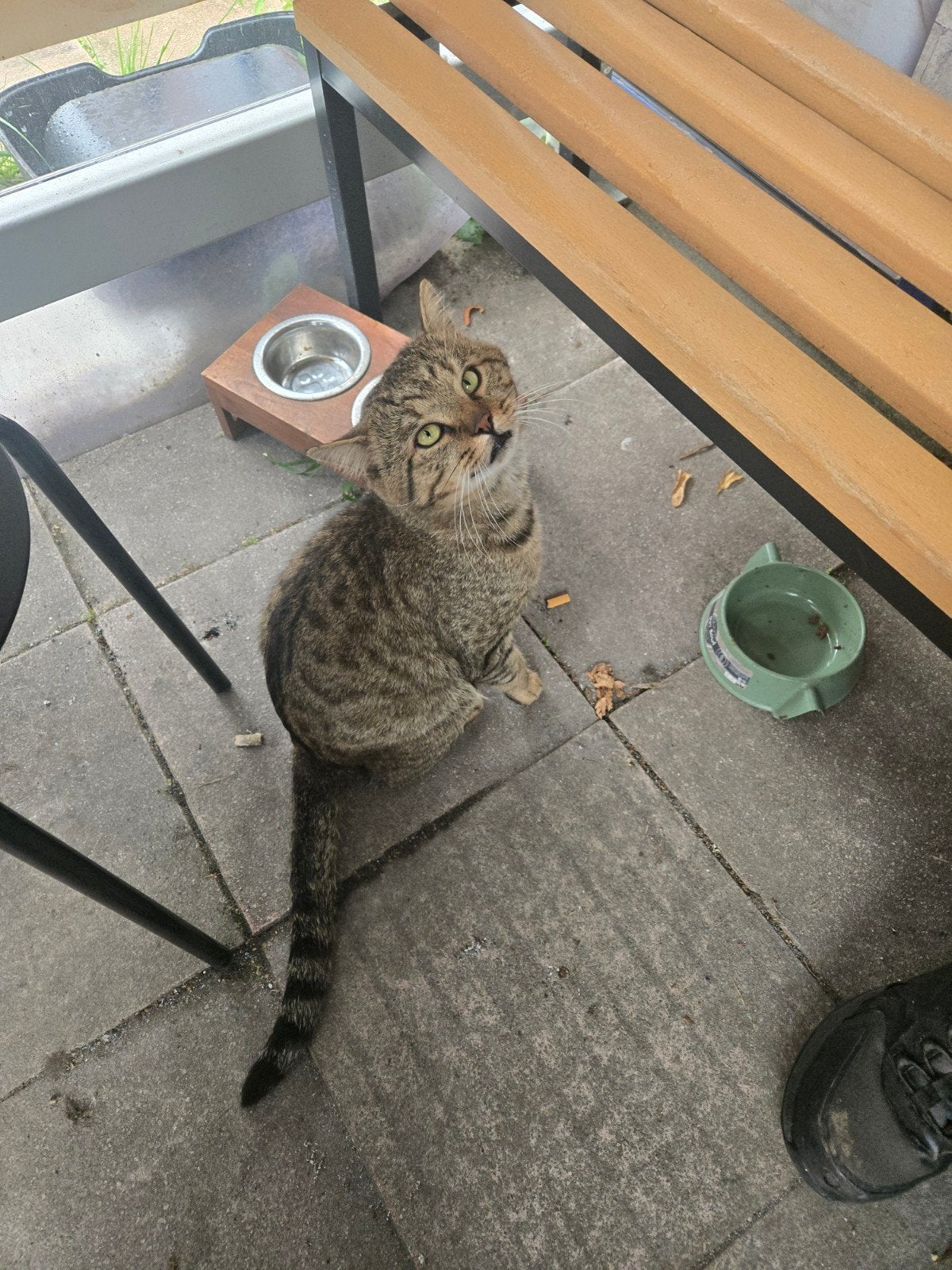 Tomy 5 jaar gratis ophalen