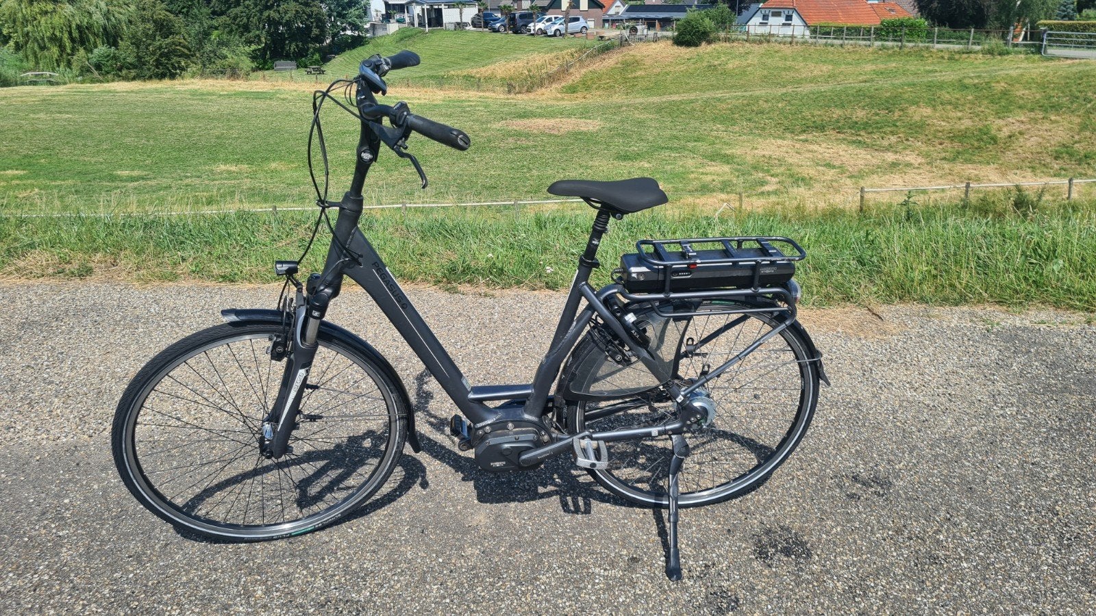 Pegasus E-Bike - Comfortabele elektrische fiets, 55 tot 59 cm, Ophalen, Gebruikt, Overige merken