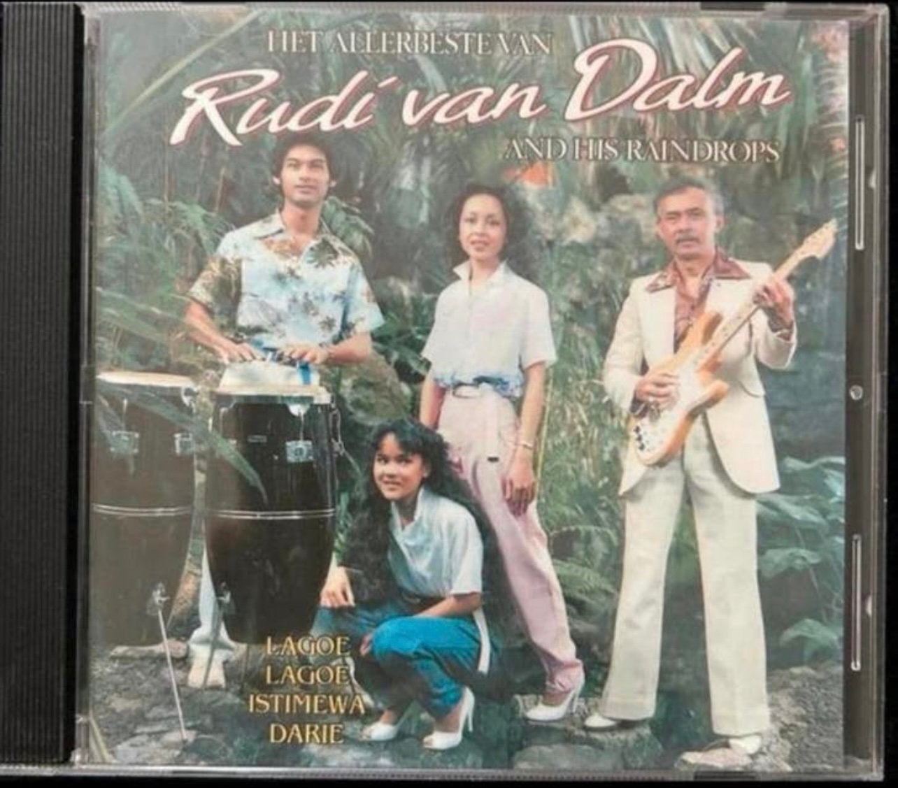 Het allerbeste van Rudi van Dalm And his raindrops Cd, Ophalen of Verzenden, Gebruikt