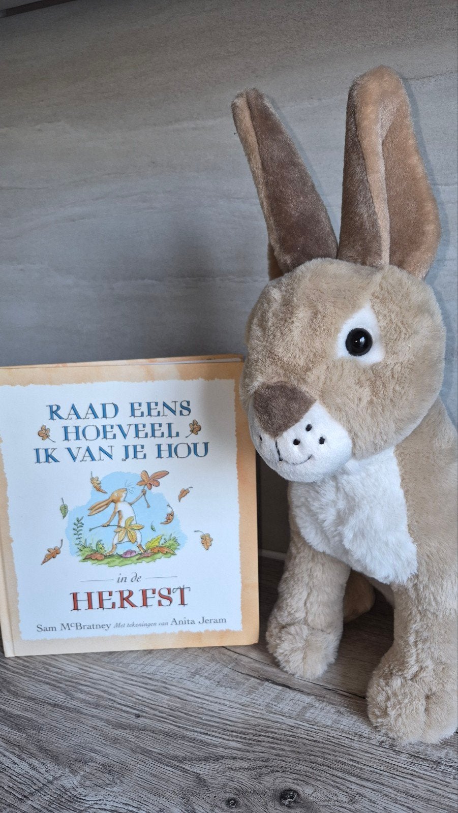 Raad eens hoeveel ik van je hou in de herfs+knuffel l, Ophalen of Verzenden, Zo goed als nieuw, 3 tot 4 jaar