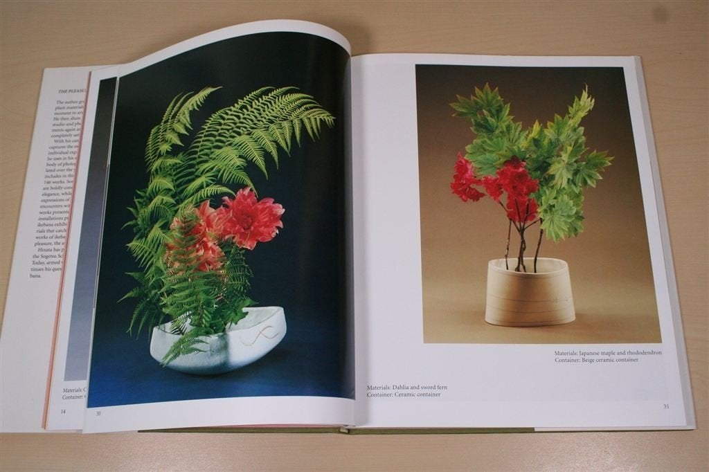 Ikebana Kunst — Seizoensbloemen & Technieken, Ophalen of Verzenden, Zo goed als nieuw, Tekenen en Schilderen