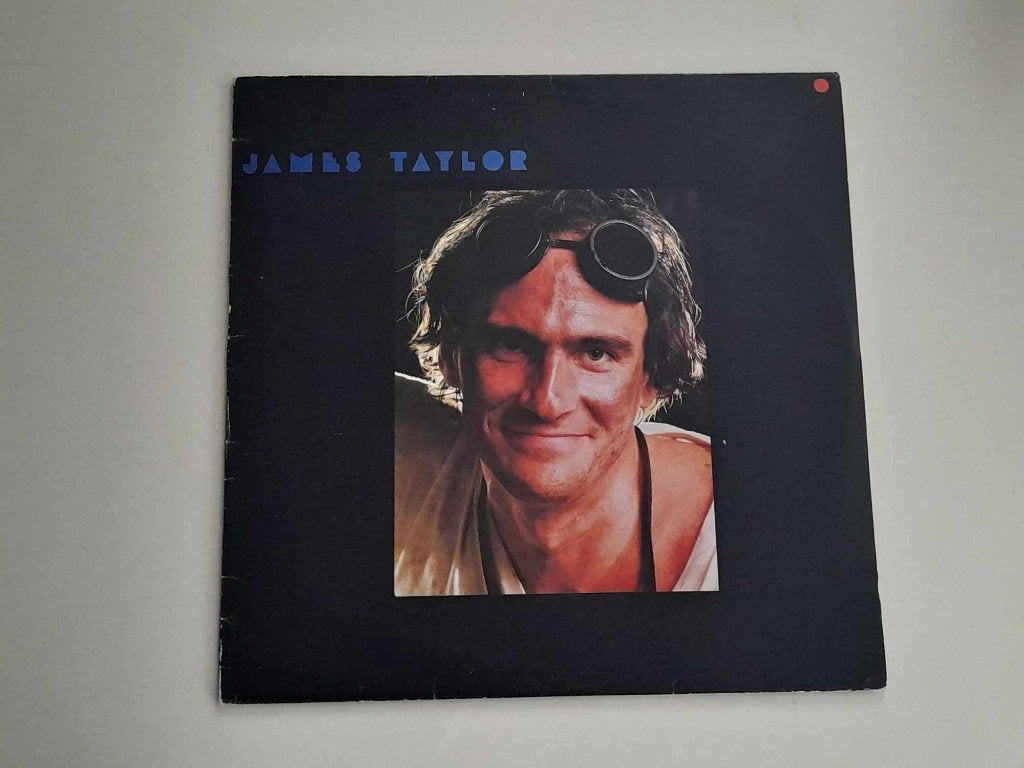 James Taylor, Janis Ian, Jim Capaldi, Jim Croce,Jim Steinman, LP, Rock, Gebruikt, Ophalen of Verzenden