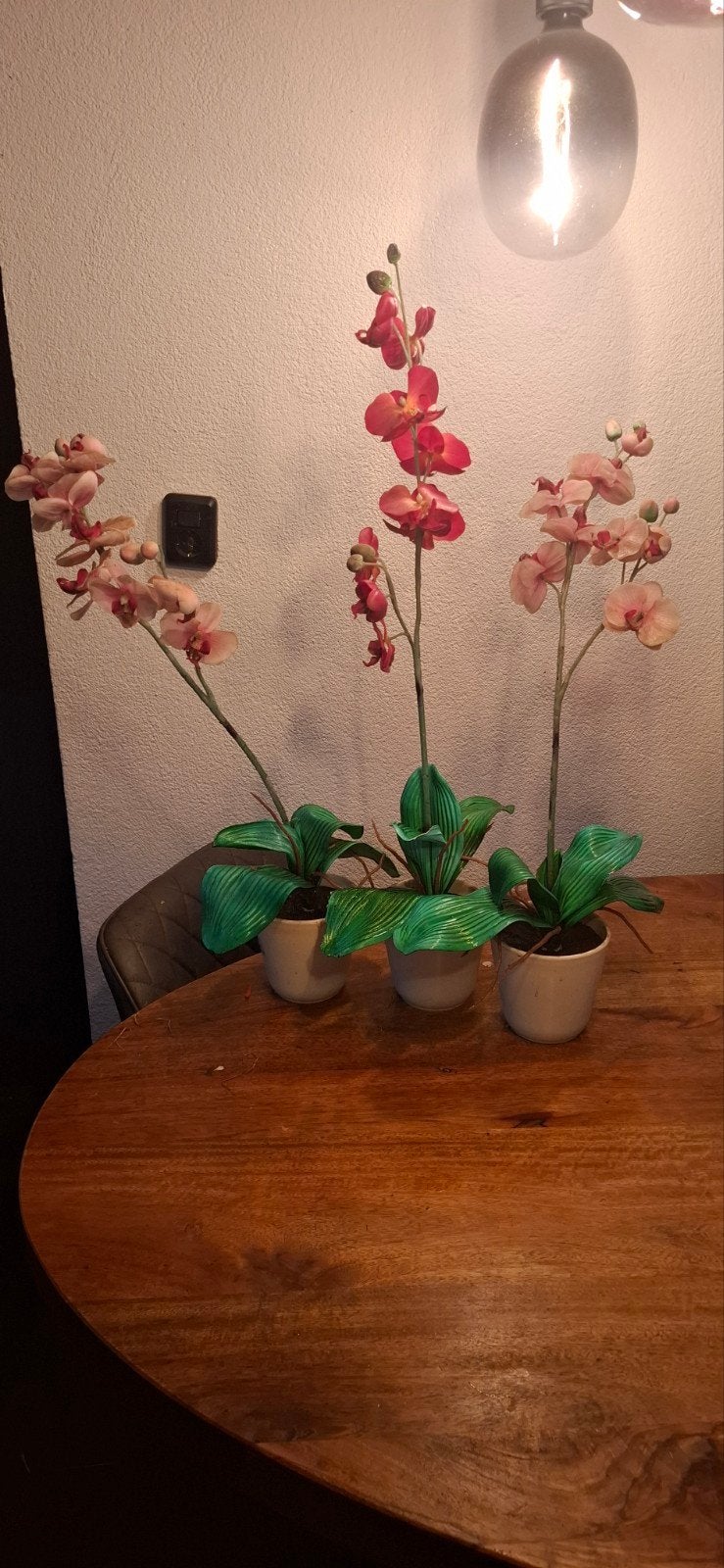 3 orchideeën  hoogte 80 cm, Huis en Inrichting, Ophalen of Verzenden