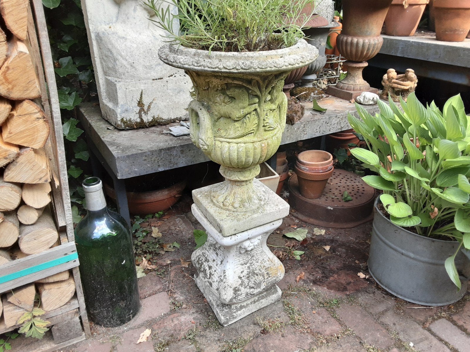 tuinvazen, Tuin en Terras, Tuinvazen, Ophalen