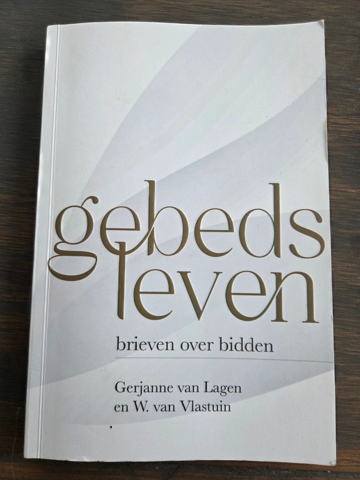 Gebedsleven: Brieven over bidden - Gerjanne van Lagen, Ophalen of Verzenden, Zo goed als nieuw, Gerjanne van Lagen en W. van Vlastuin