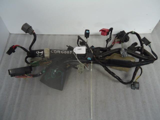 CBR600F 2001 - 2006 Honda Kabelboom Kabelboom hoofd D1-16743