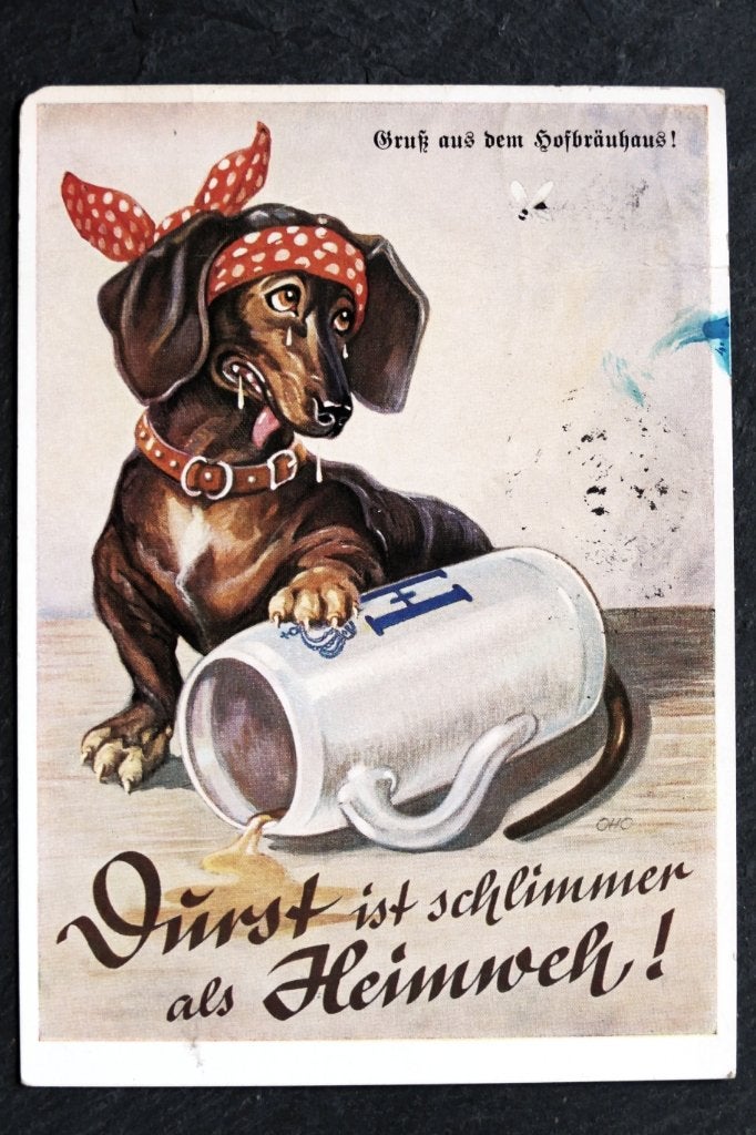 Teckel ziet wesp en heeft dorst, Gruss aus Hofbrauhaus, 1956, Verzenden, 1940 tot 1960, Gelopen, Hond of Kat