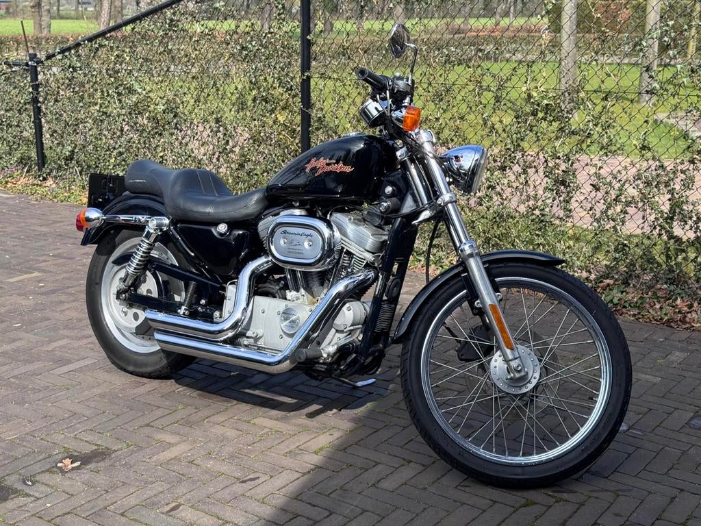 Harley Davidson XL 53C, 2 cilinders, Chopper, 883 cc, Meer dan 35 kW