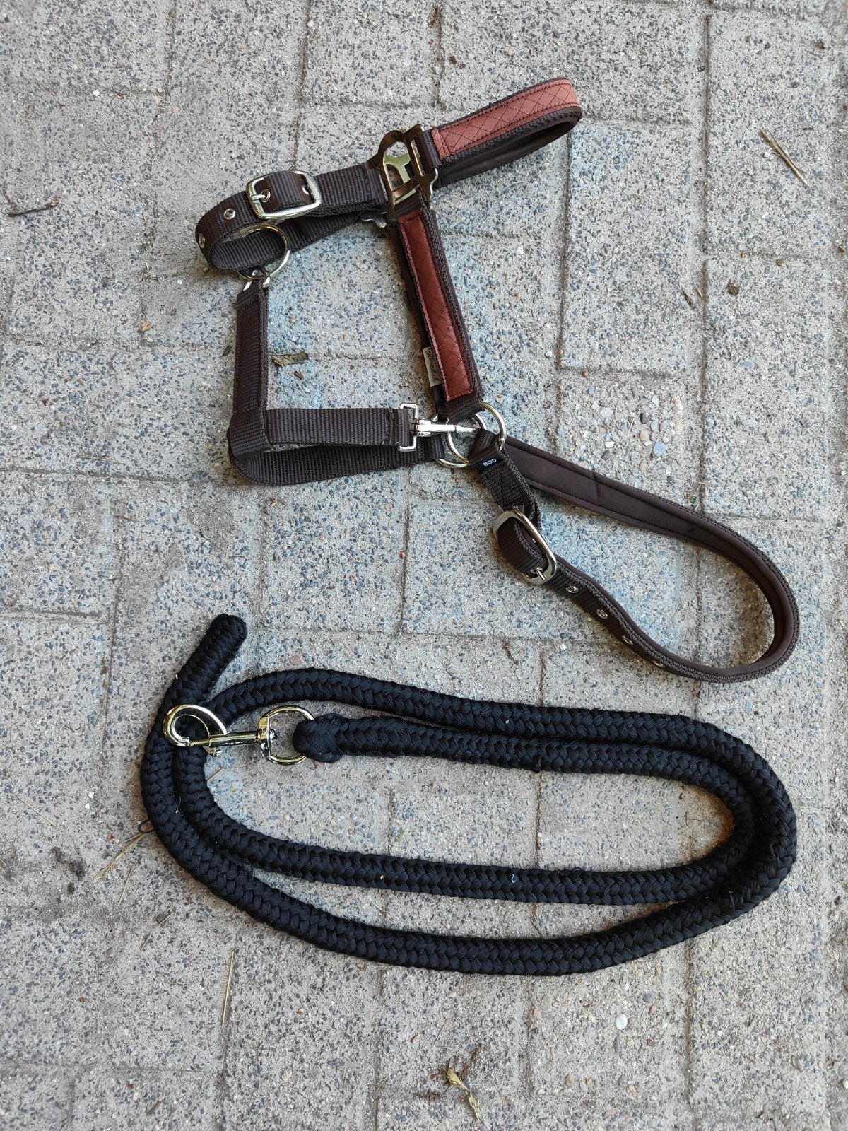 Halster maat cob met touw., Ophalen of Verzenden, Overige soorten