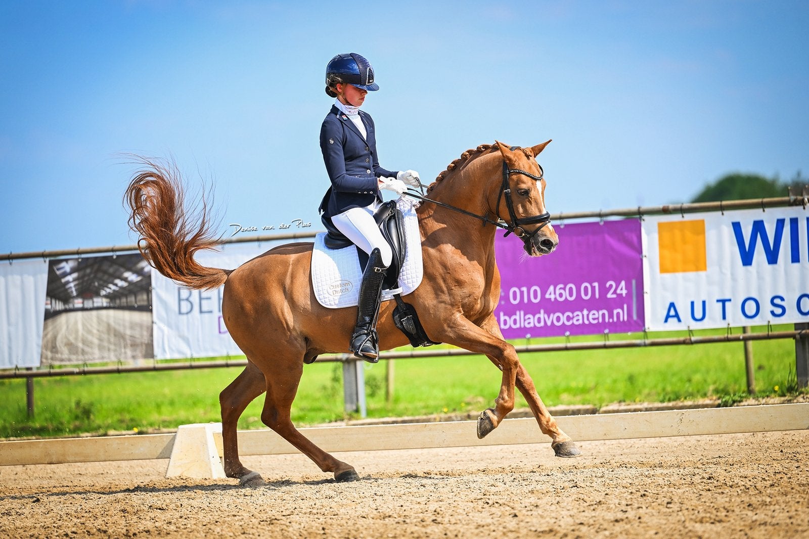 Leuke leerpony te koop, Ruin, 11 jaar of ouder, Recreatiepony, D pony (1.37m tot 1.48m)