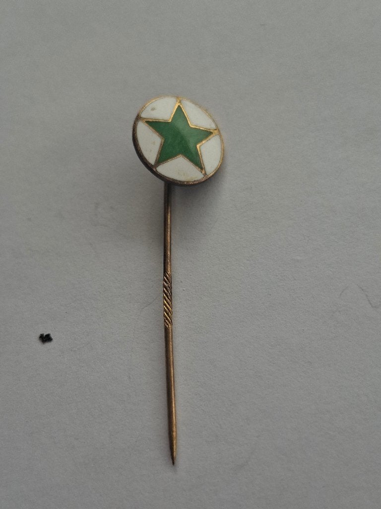 Speldje groene ster emaille, Ophalen, Gebruikt, Overige onderwerpen