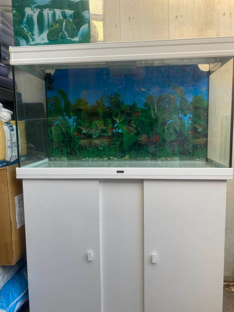 Mooi aquarium van het merk aquaprofi 244L, Ophalen, Zo goed als nieuw, Gevuld zoetwateraquarium