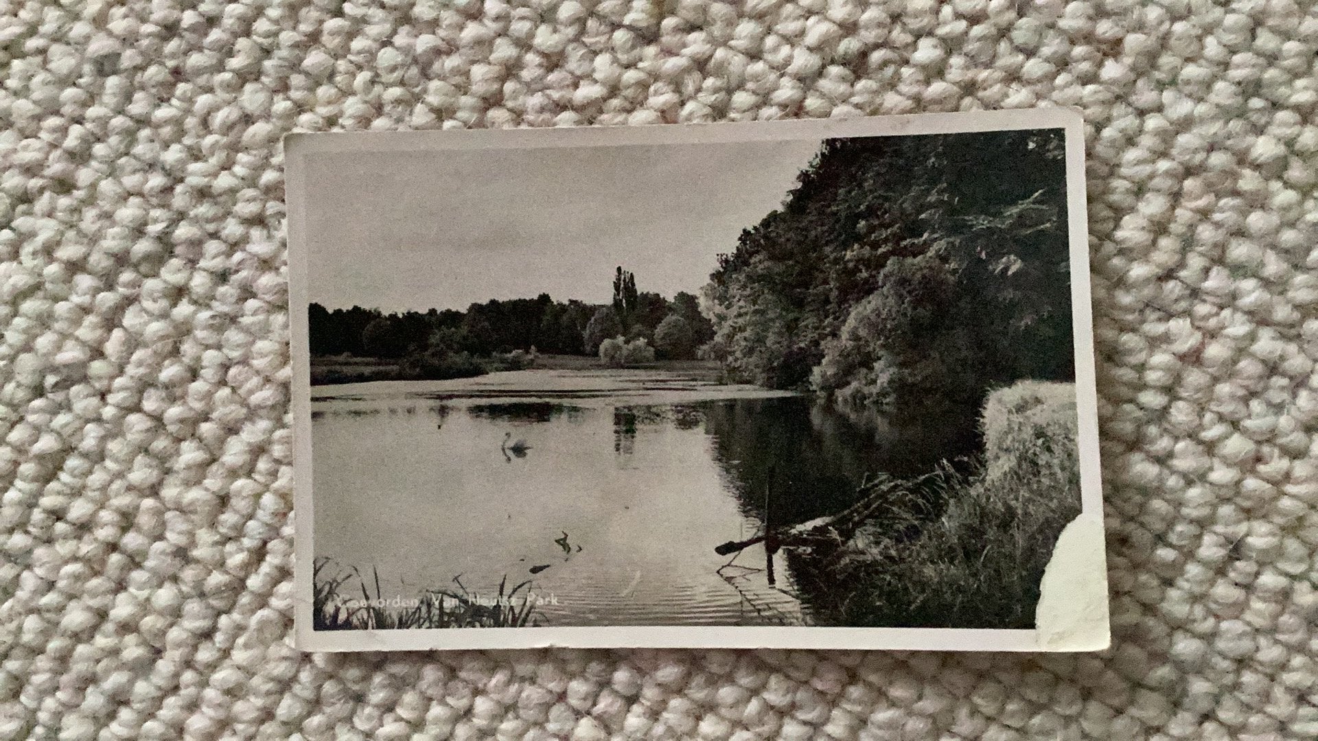 Ansichtkaart Coevorden Van Heutsz Park 1956. 982, Ophalen of Verzenden, 1940 tot 1960, Gelopen, Drenthe