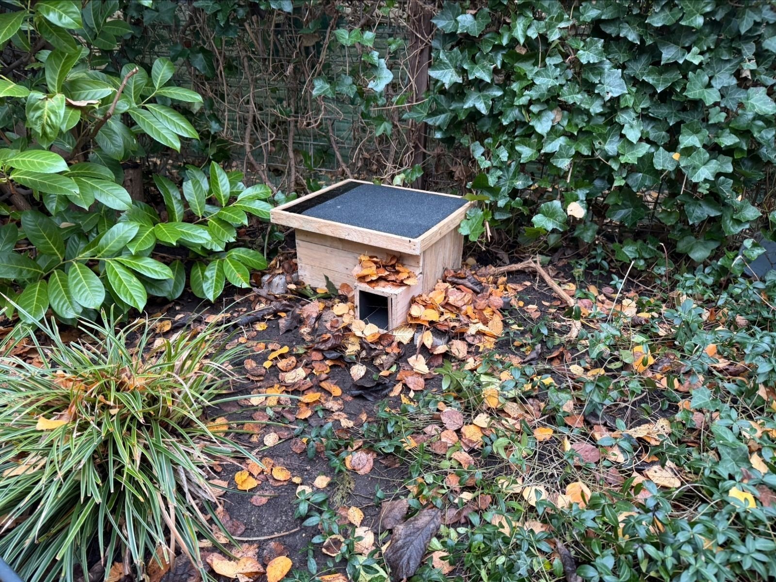 help de egel aan een egelhuis! bijna gratis., Ophalen of Verzenden, Nieuw, Hok, Minder dan 60 cm