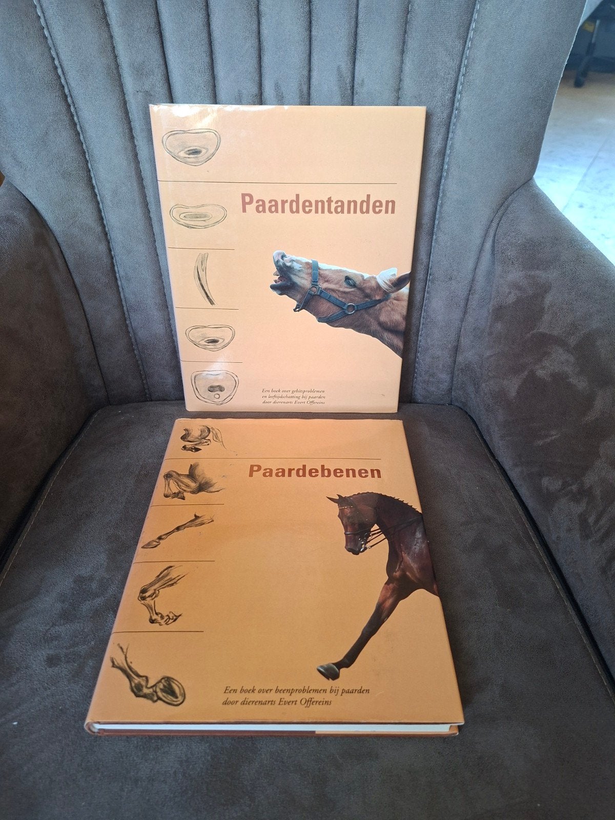 Paardentanden & Paardebenen - Evert Offereins (2 boeken), Ophalen of Verzenden, Zo goed als nieuw, Paarden of Pony's, Evert Offereins