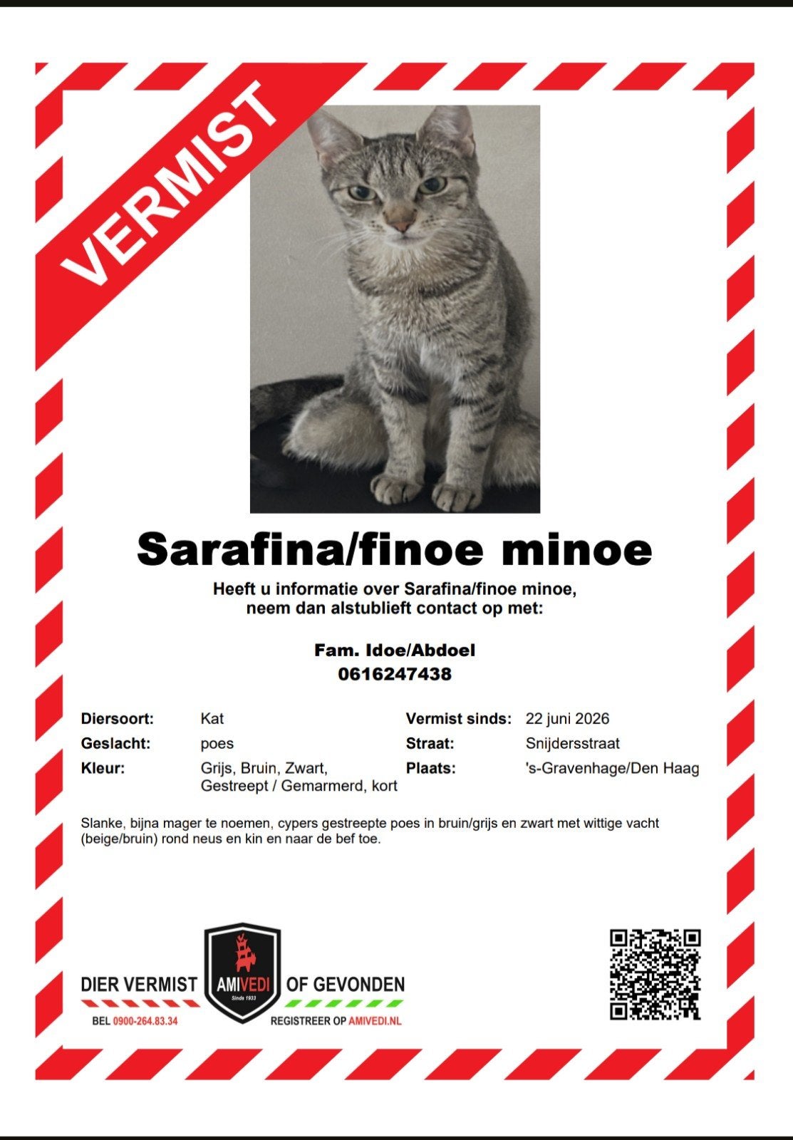 Vermist Sarafina/finoe minoe, Dieren en Toebehoren