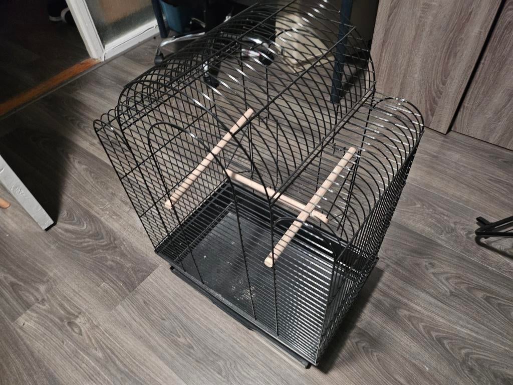 Papagaai/vogelkooi vogelkooi ontsmet  en wel, Dieren en Toebehoren, Hondenhokken, Ophalen of Verzenden, Zo goed als nieuw, 75 tot 110 cm