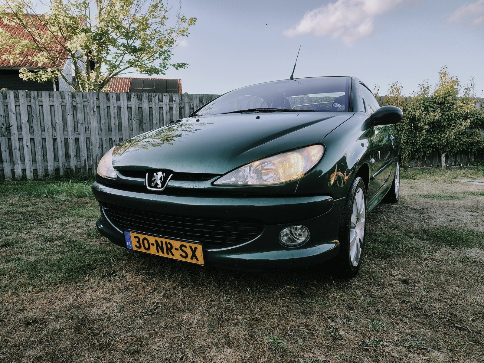 Peugeot 206 2.0 16V CC 2003 Groen Roland Garros Cabriolet, 4 cilinders, Cabriolet, 4 stoelen, 49 €/maand