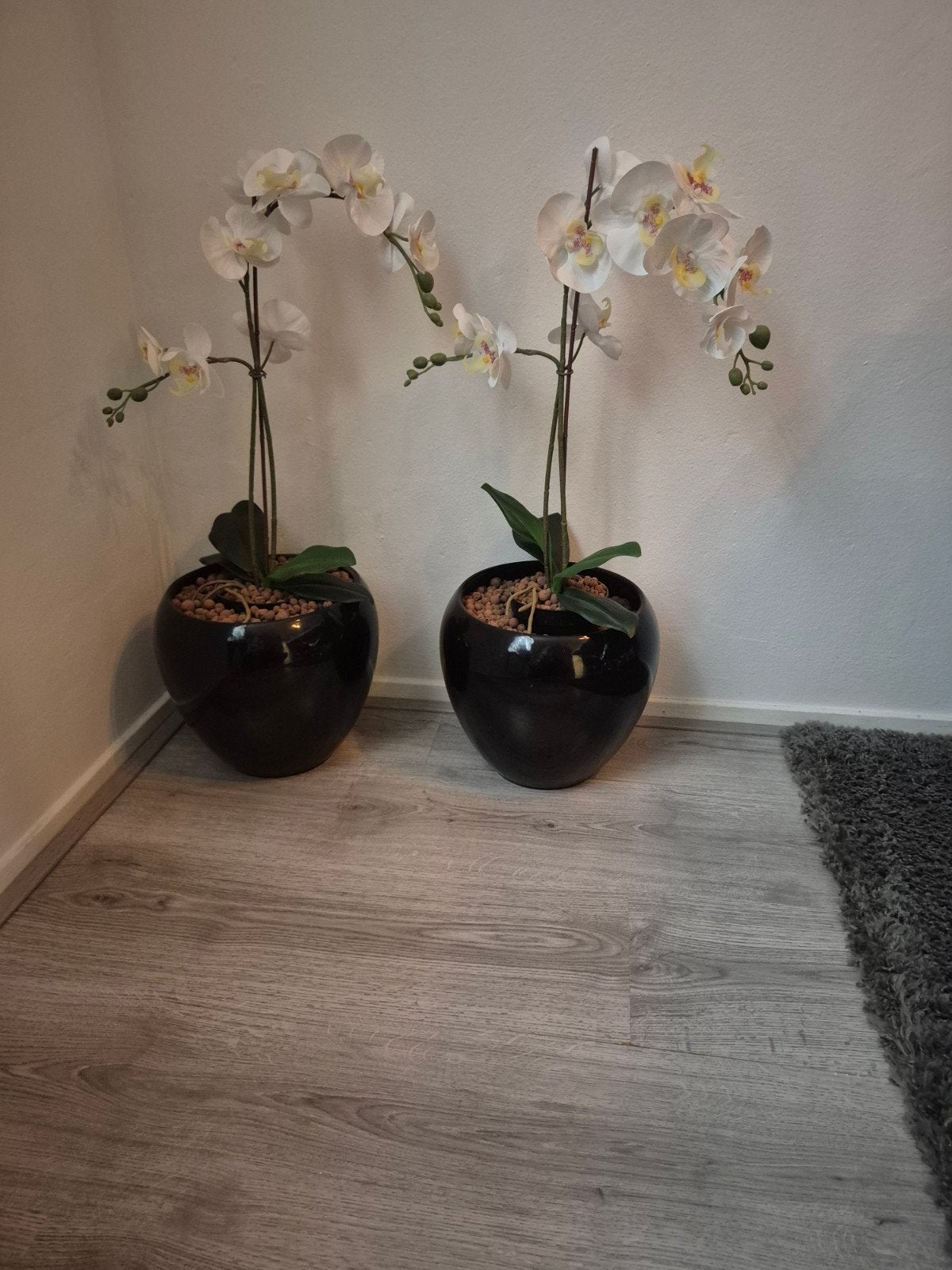 2 zwarte bloempotten met orchidee, Ophalen