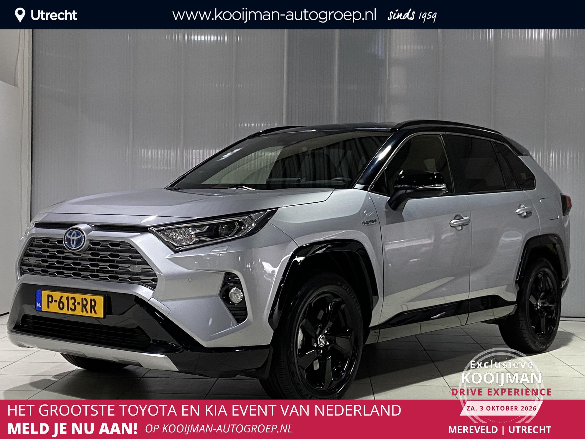 Toyota RAV4 2.5 Hybrid Bi-Tone Elektrisch verstelbare bestuu