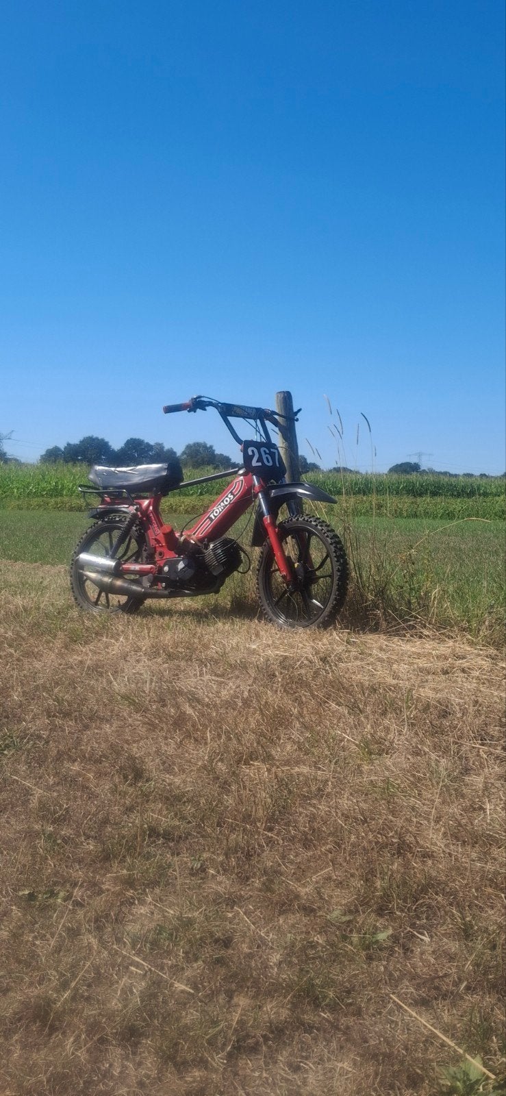 Rode 65cc Tomos, Gebruikt, Maximaal 45 km/u, 65 cc, Ophalen of Verzenden