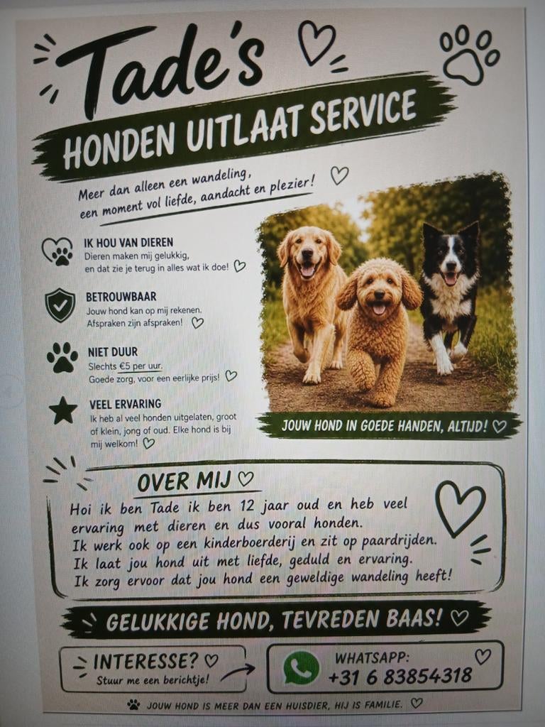 Mijn liefdevolle hondenuitlaat service, Dieren en Toebehoren, Dierenvoeding, Hond, Ophalen of Verzenden