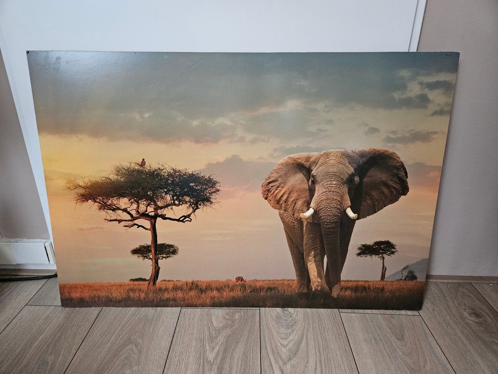 Schilderij olifant 60x90cm, Ophalen, 50 – 75, Gebruikt, Schilderij