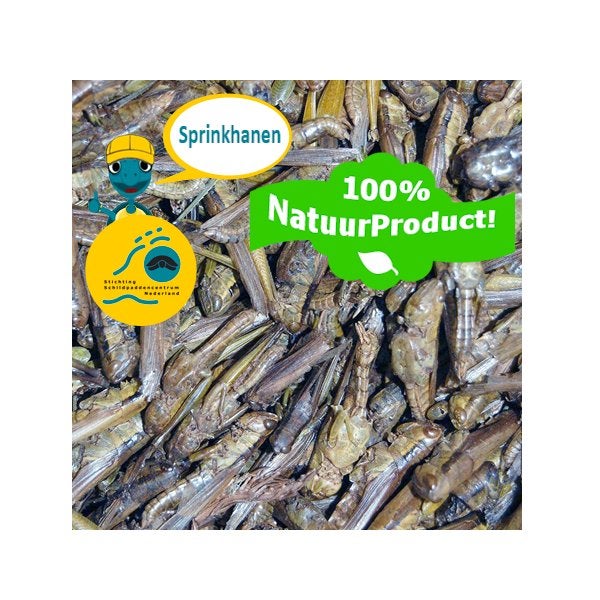Gedroogde Sprinkhanen voor Waterschildpadden (Natuurproduct), Winkel Schildpaddencentrum, Overige typen, Nieuw, Ophalen of Verzenden