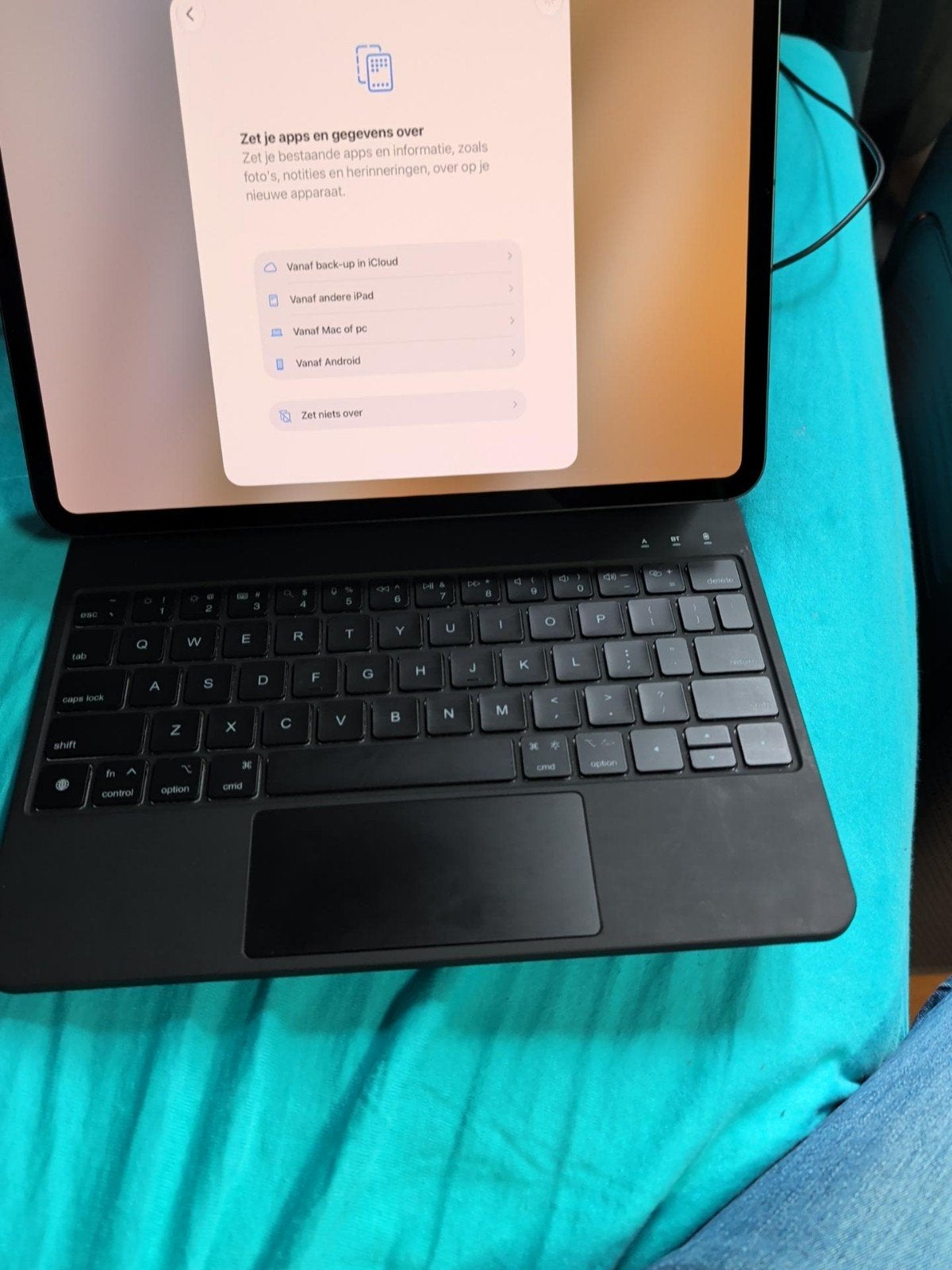 Foto 6 van ipad Pro 11 inch (M5) wifi + cellular