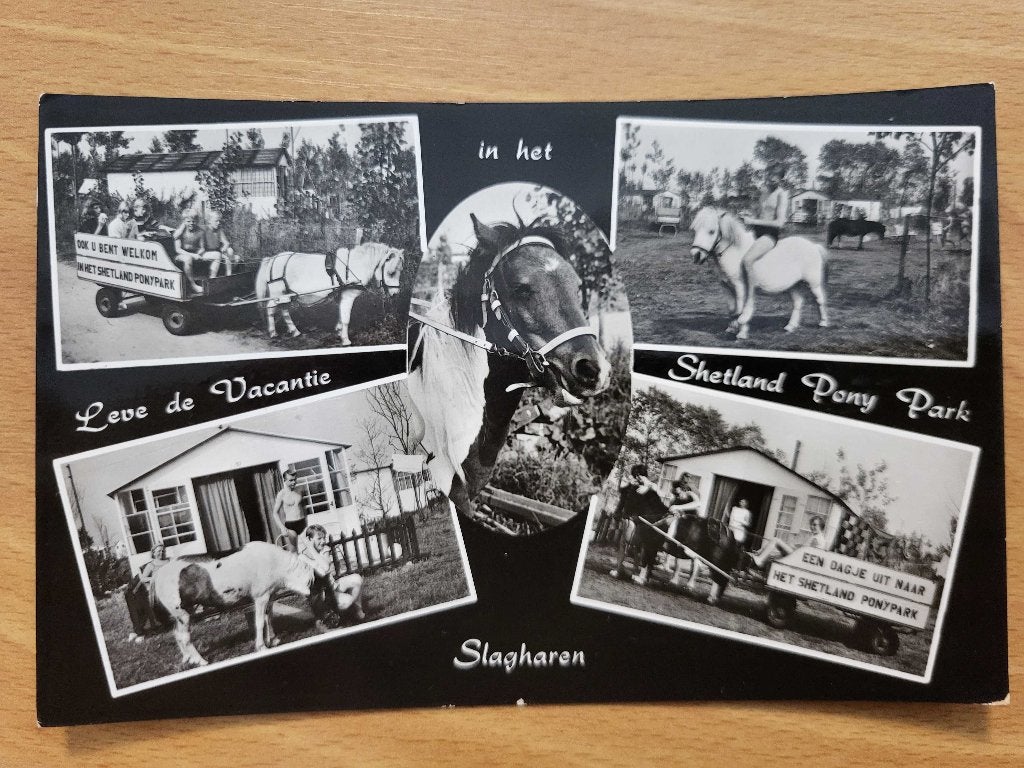 ansicht Slagharen ponypark Shetland, Ophalen, Voor 1920, Overijssel