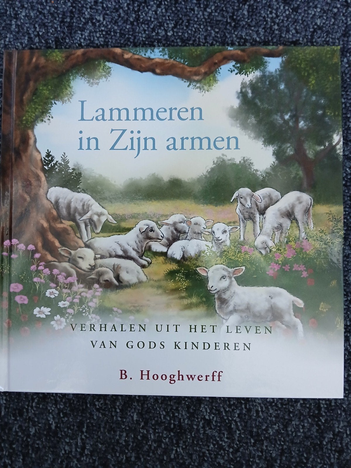 Lammeren in Zijn armen, B. Hooghwerff, Ophalen of Verzenden, Zo goed als nieuw, B. Hooghwerff, Christendom | Protestants