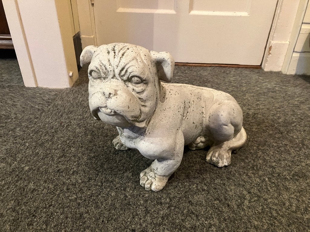 stenen bulldog beeld bulletje bull tuinbeeld, Tuin en Terras, Tuinbeelden, Ophalen, Zo goed als nieuw, Beton, Dierenbeeld