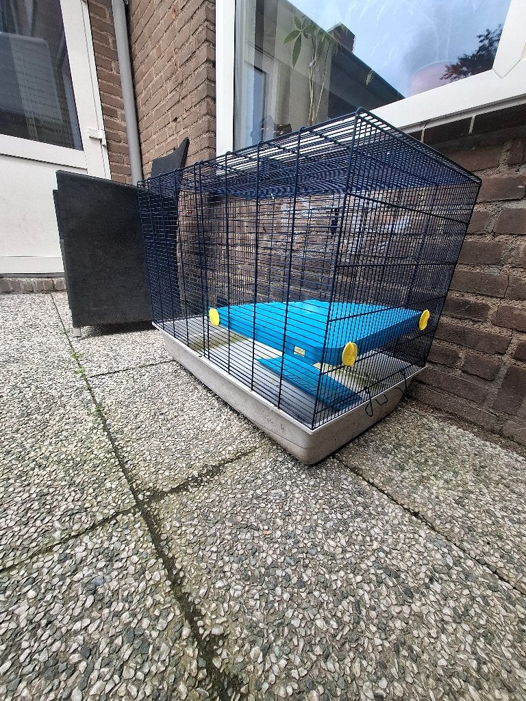 Rattenkooi, Dieren en Toebehoren, Knaagdieren en Konijnen | Hokken en Kooien, Ophalen, Kooi, Gebruikt, 60 tot 90 cm