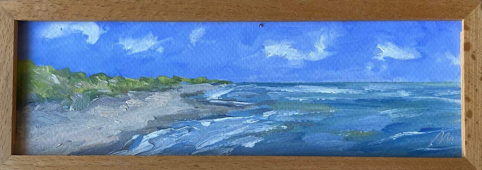 Zee strand. Duin, Ophalen of Verzenden