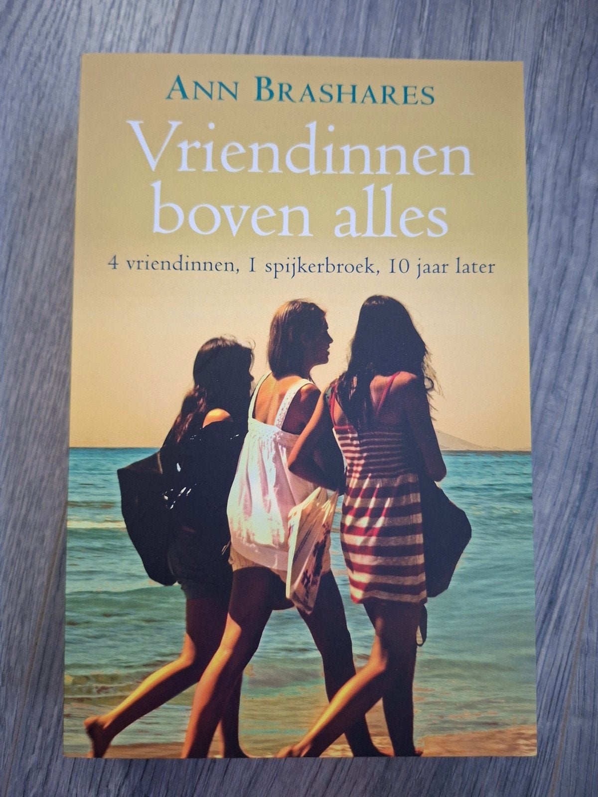Boek: Vriendinnen boven alles. In zeer goede staat., Boeken, Ophalen of Verzenden, Zo goed als nieuw