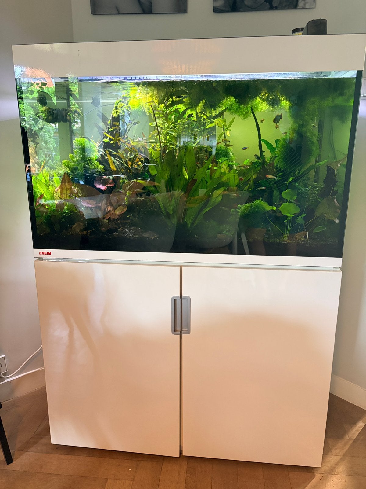 EHEIM Incpiria 300 aquarium compleet draaiend Oase/Fluval/CO, Dieren en Toebehoren, Vissen | Aquaria en Toebehoren, Ophalen, Zo goed als nieuw