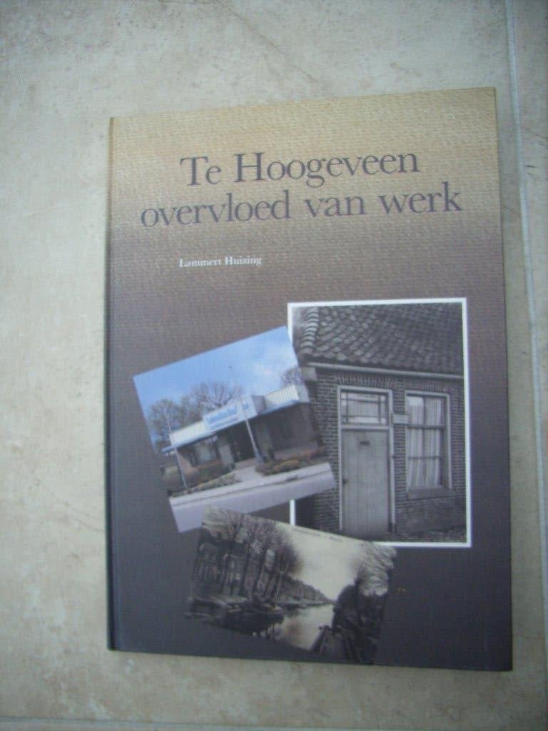 Te Hoogeveen overvloed van werk - Lammert Huizing, Ophalen of Verzenden, Zo goed als nieuw, Lammert Huizing