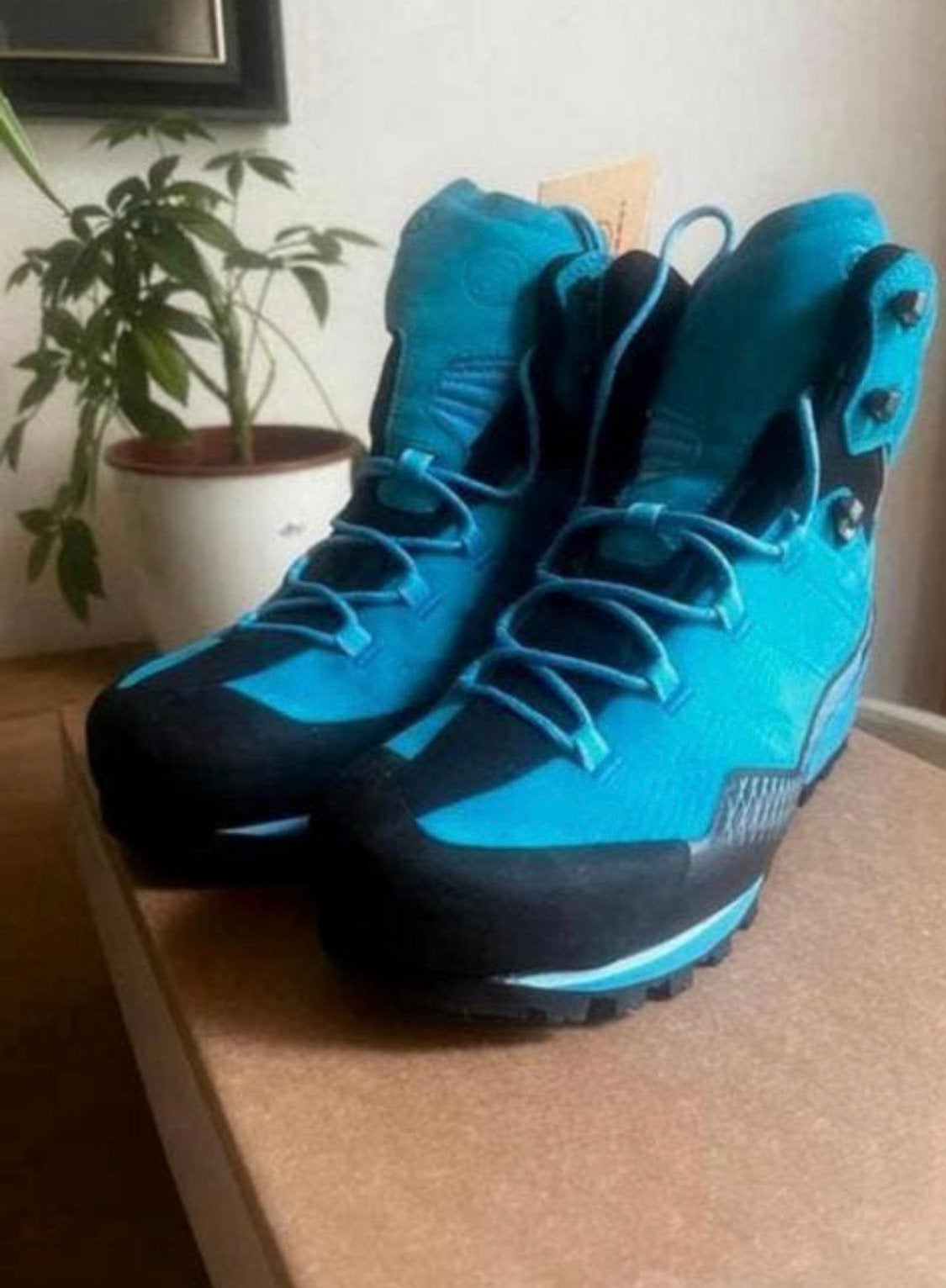 Mammut Kento Woman GTX maat 40 nieuw, Sport en Fitness, Ophalen of Verzenden, Nieuw, Schoenen