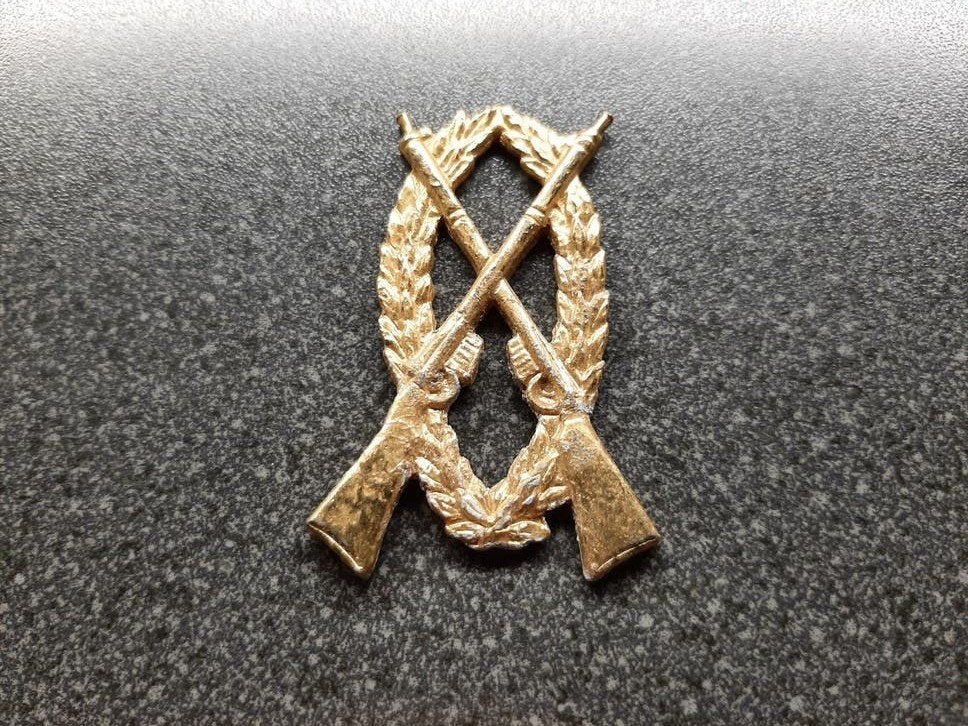 Militair   embleem  /  Buitenland  -  54 x 31 mm., Ophalen of Verzenden, Landmacht, Overige gebieden, Embleem of Badge
