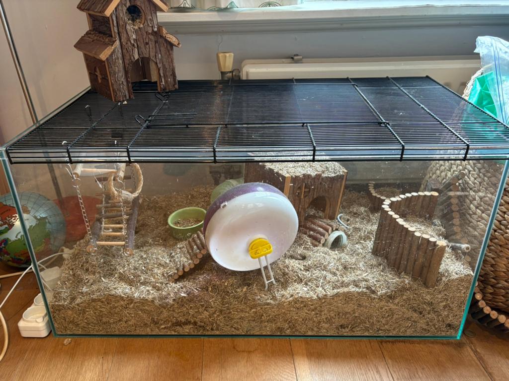 Glazen hamsterkooi met toebehoren, Ophalen, Zo goed als nieuw, Overige typen