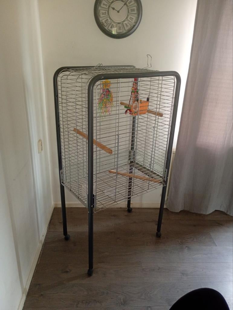 Papegaaienkooi, Ophalen