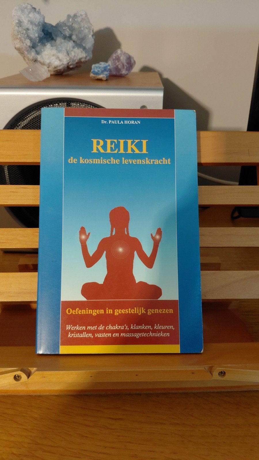 Reiki: De Kosmische Levenskracht - Oefen in Geestelijk G, Gelezen, Spiritualiteit algemeen, Dr. Paula Horan, Ophalen of Verzenden
