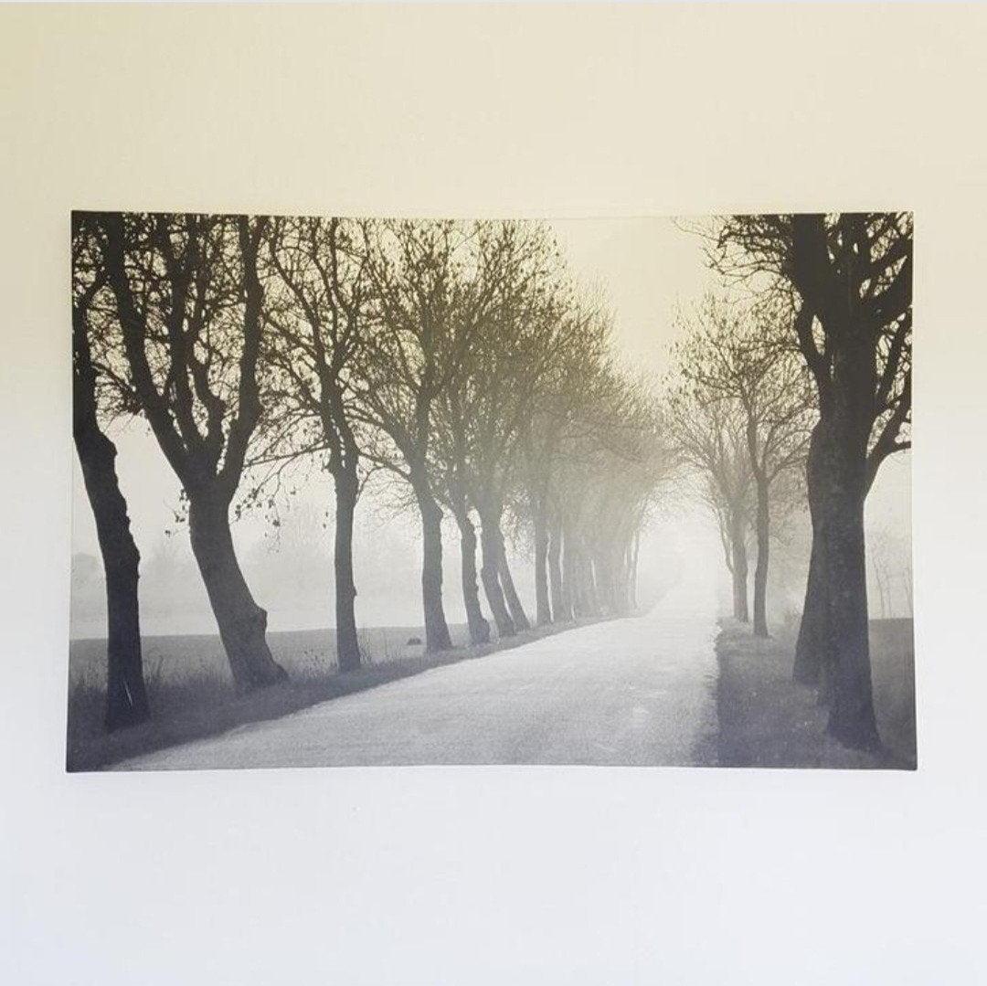 Ikea pjatteryd canvas weg met bomen 78 x 118 cm, Huis en Inrichting, Woonaccessoires | Schilderijen, Tekeningen en Foto's, Ophalen of Verzenden