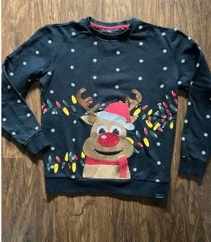 Kerst trui WE maat 170/176, Trui of Vest, Ophalen of Verzenden, Zo goed als nieuw, Jongen