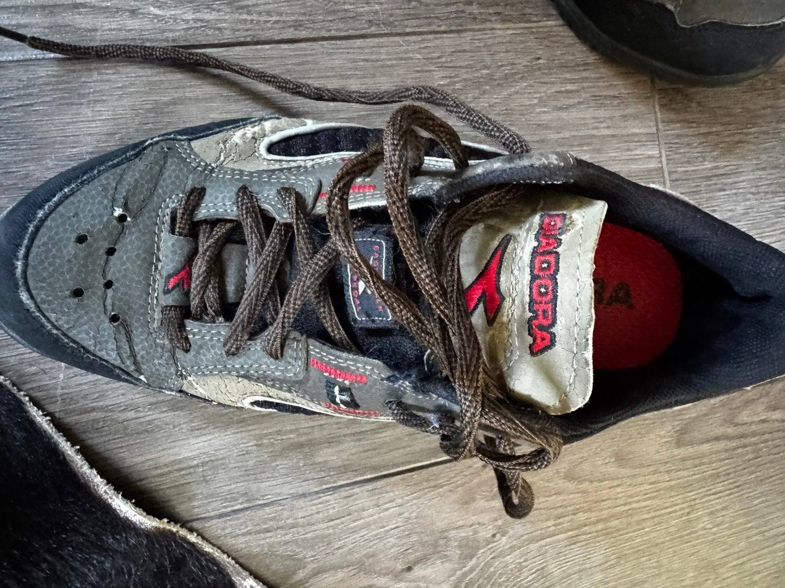 Diadora fietsschoenrn maat 41, Gebruikt, Schoenen, Overige maten, Ophalen of Verzenden