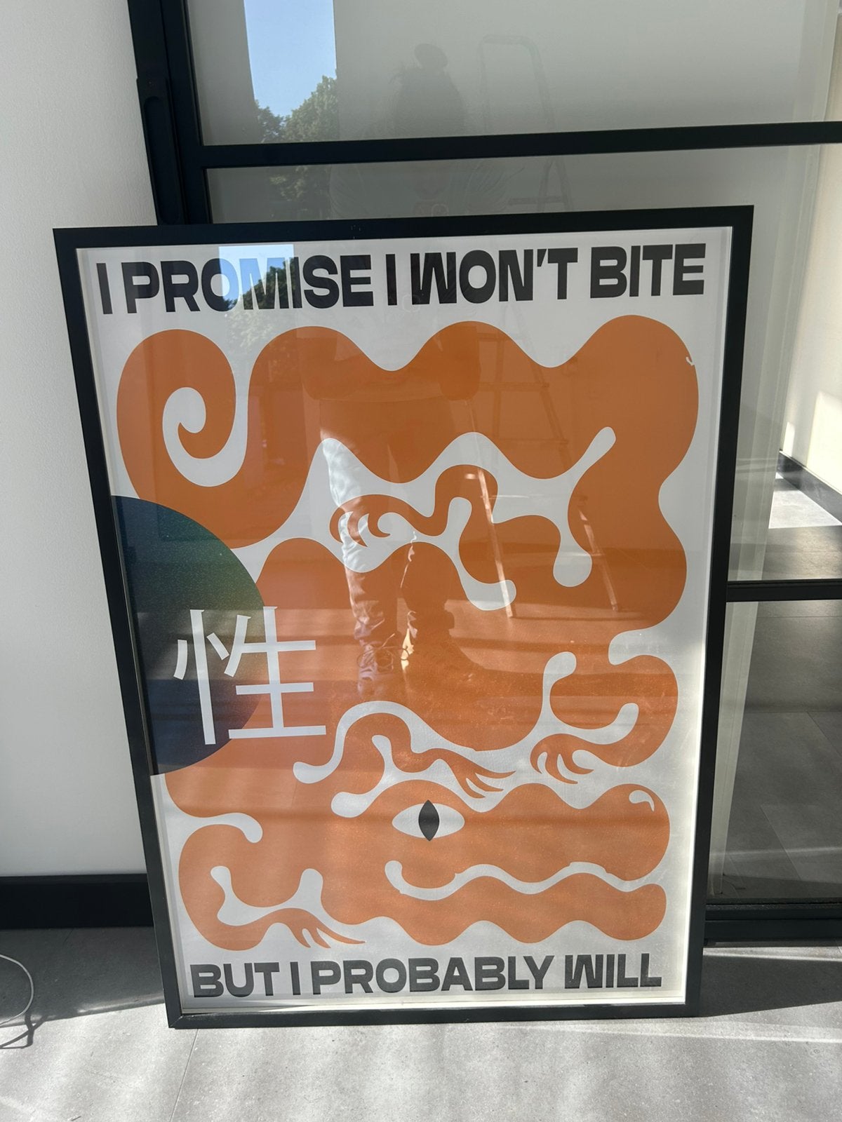 Drool poster in lijst 60x90, Antiek en Kunst, Kunst | Schilderijen | Abstract, Ophalen