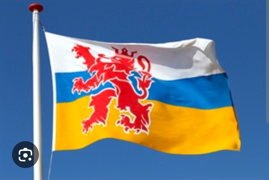 Vlag van Limburg!, Ophalen of Verzenden, Nieuw